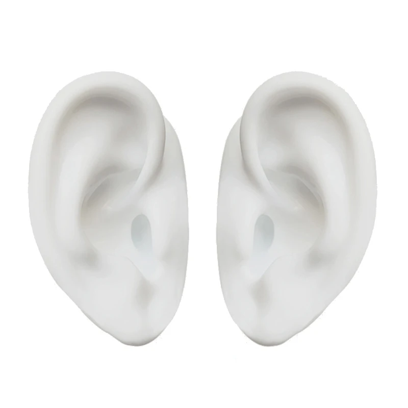 Ear Silicone Model Practice Body Piercing Teaching Tool Earring for Display