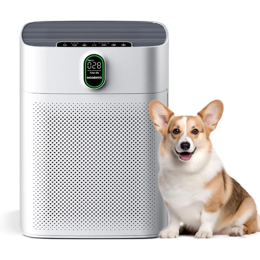 Air Purifiers For H… - image