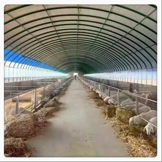 

Customized greenhouseGalvanized Steel Chicken/Sheep/Horse Naturally Ventilated Greenhouse Durable Poultry Farm Chicken Greenhous