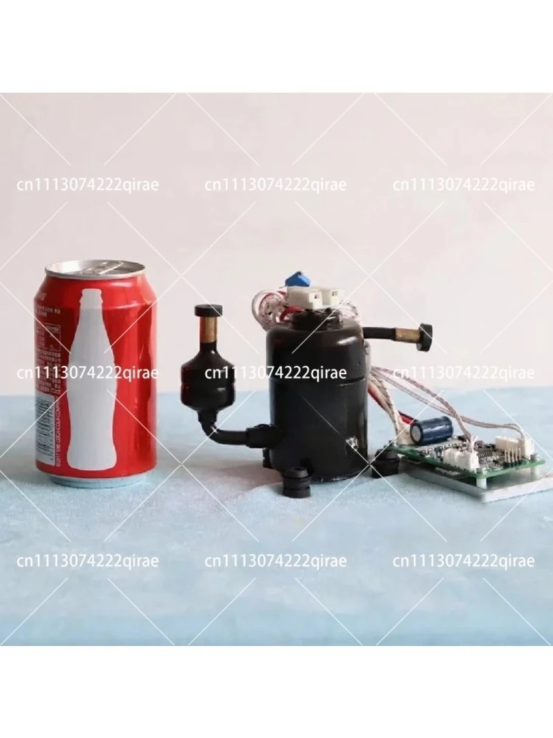 Portable Mini Refrigerator Compressor 12V 24V 48V 400W R134a Cooling System