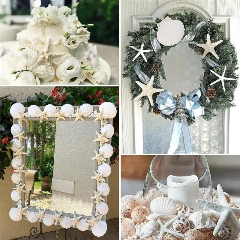 ABLJ Large For Crafts& Shells Painting Shells 15PCS Natural Starfish And Scallop Shells 4