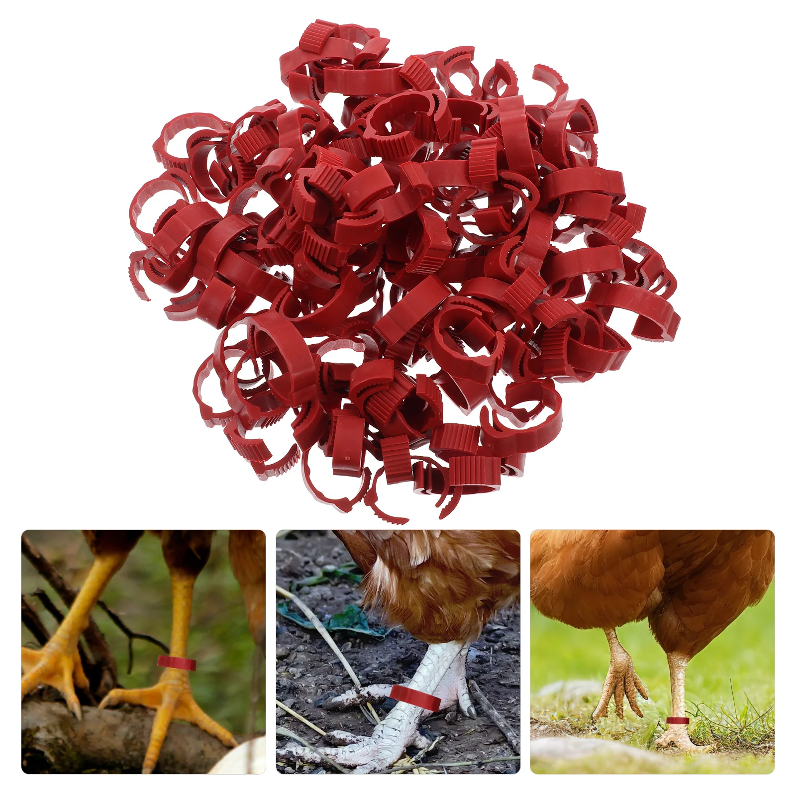 

100Pcs Adjustable Poultry Leg Rings Blank Identification Bands for Chicken Duck Goose Pigeon Bird Leg Bands Farm Use