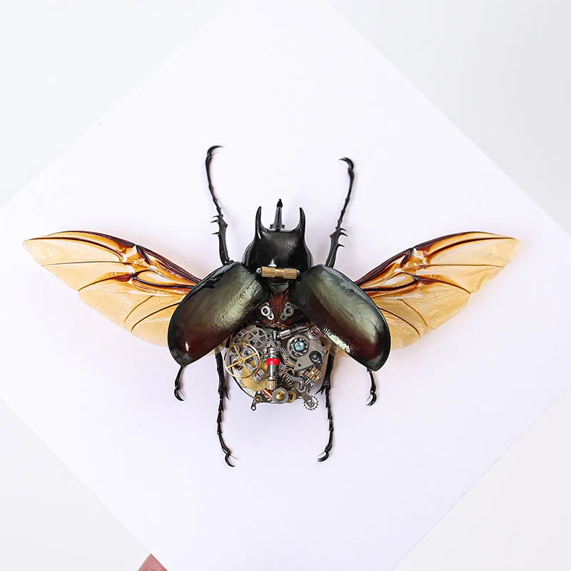 

Steampunk Insect Specimen, Mechanical Metal, Handmade Ornaments, High-End Framed, Creative, Personality, Birthday Gifts