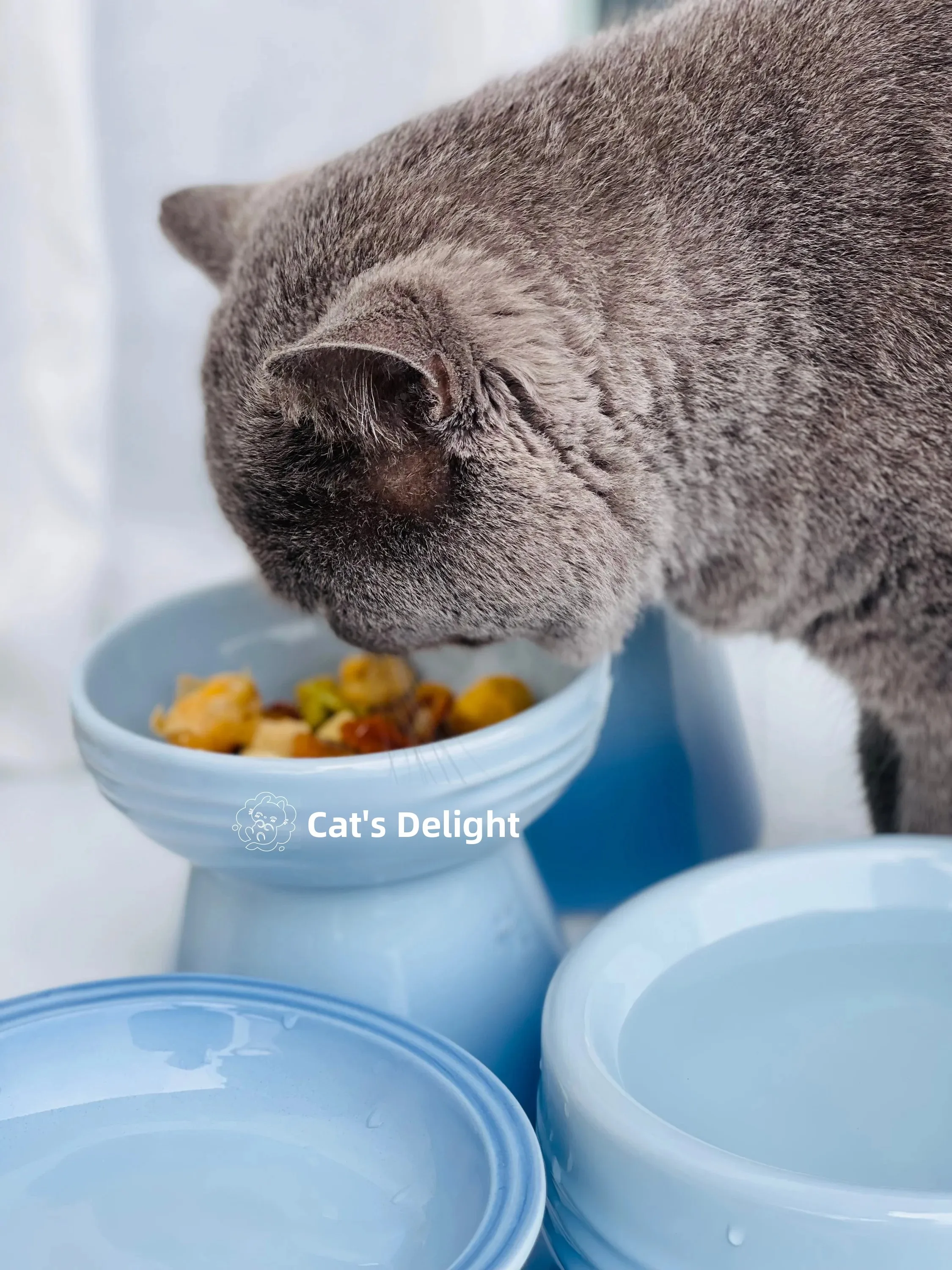 Cool Color Ceramic Pet Bowl High Footed round Mouth Water Bowl Feeding Tray Anti Flip Anti Black Chin for Cats And Dogs