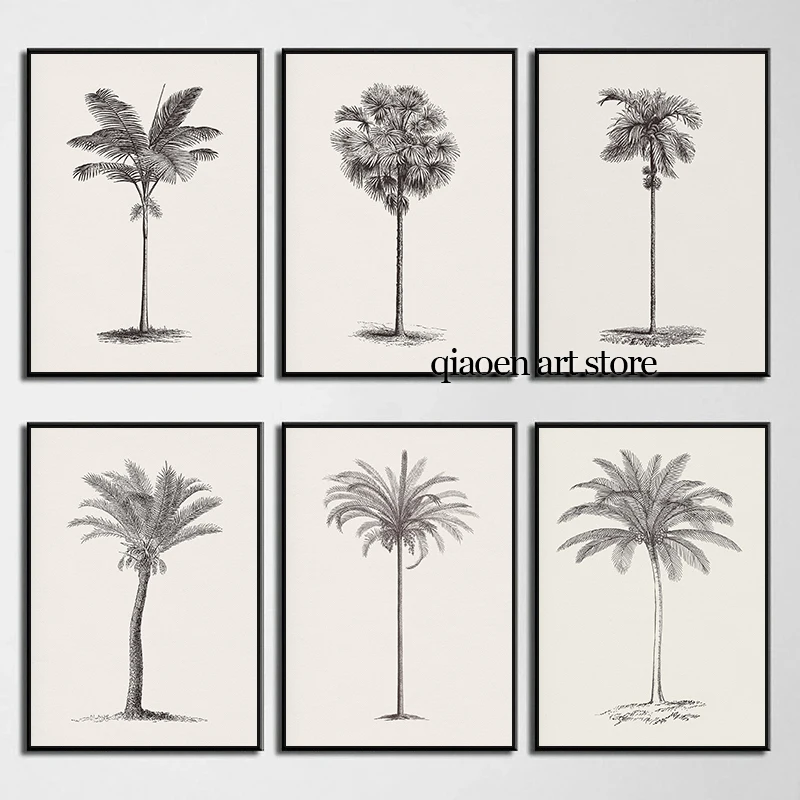 Palm Tree Sketch Vintage Tree Drawing Poster Print Canvas Painting Botanical Neutral Wall Art Picture for Living Room Home Decor