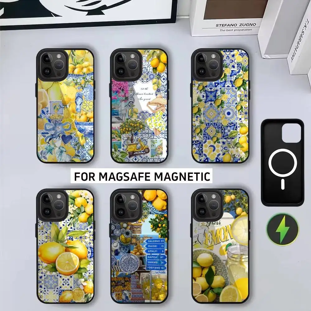 

E-European A-Amalfi C-Coast L-LemonS Phone Case For iPhone17,16,15,14,13,12,11 Plus,Pro Magnetic For Magsafe Wireless Charging
