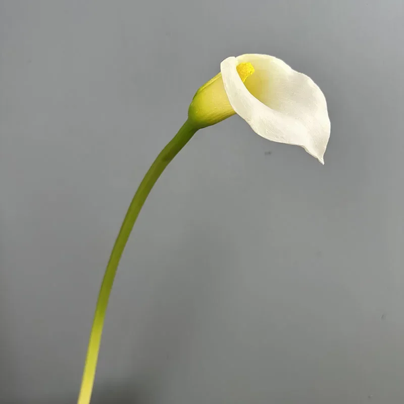 5/6 Stück Realistische PU Calla-Lilien-Zweige Künstliche Blumen Restaurant-Dekoration Simulierte Lila Kleine Seetaro Kunstblumen – Detail 11
