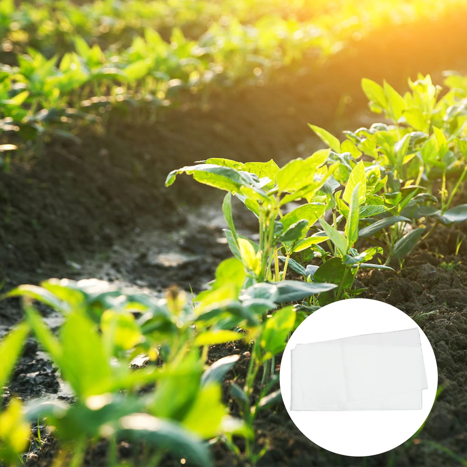 

20Pcs Absorbent Cloth Germinating Fabric Soft Safe for Seedlings Gardens Flowers Moisturizing Nursery Plant Grow Fabric