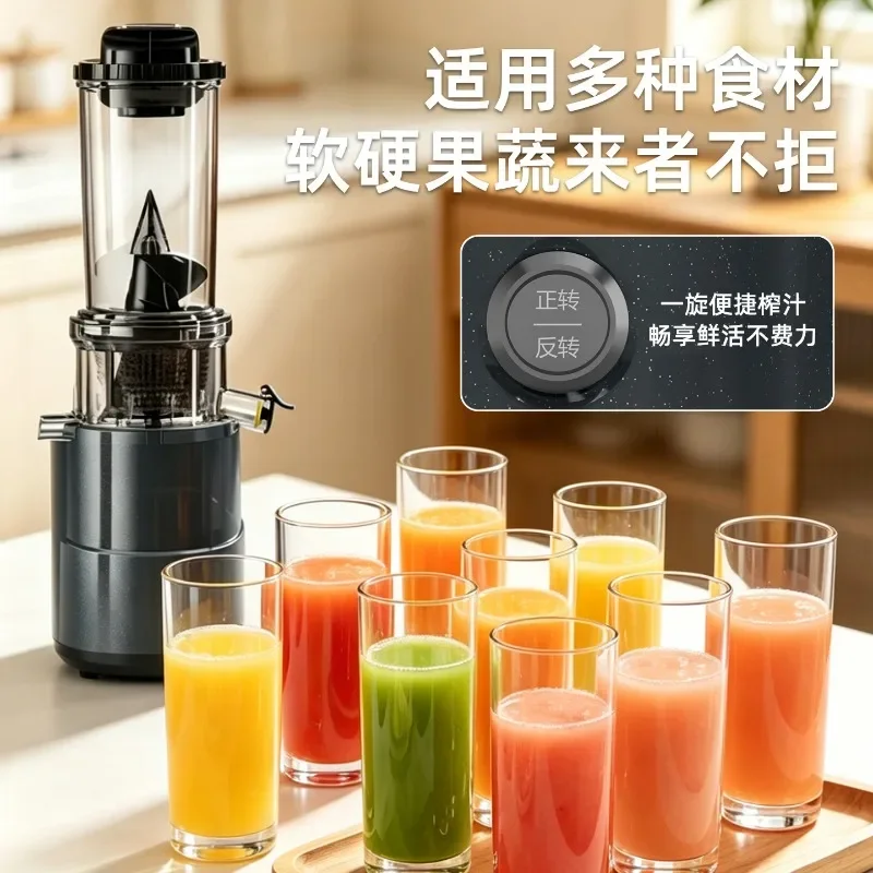 Home Cold Press Slow Juicer with Wide Feed Chute Pulp Separation Fruit Vegetable Juice Extractor
