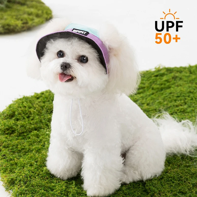 

Teddy Hat Summer Maltese Sunscreen Fisherman Hat Puppy Letter Printed Mini Shade Hat Pet Accessories