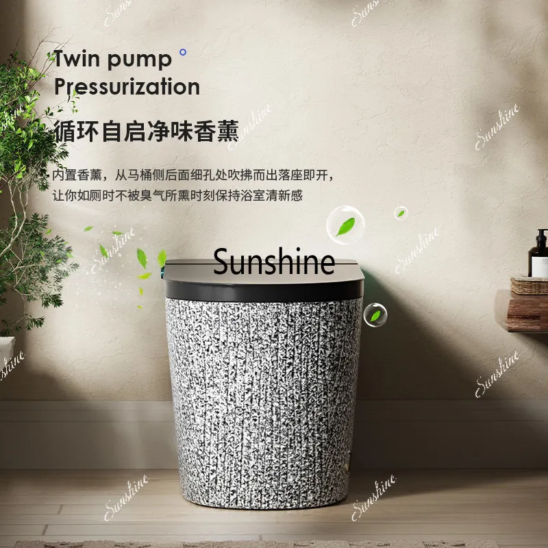 Retro Chinese smart toilet automatic flush siphon toilet foam shield