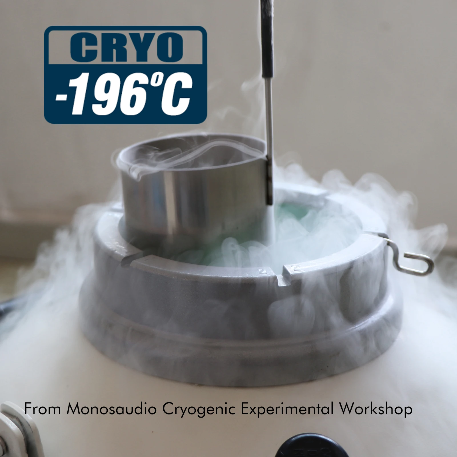 Monosaudio Reines Silber Netzteil Stromstecker HIFI Audio EU/US Netzadapter CRYO -196 ° C Frozen Über 72 Stunden gefrorenes, massives Silber-PIN – Detail 4