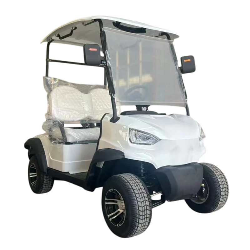 

Удобная 2-местная уличная легальная тележка для гольфа для пожилых людей, мобильный скутер с удобными функциями, 8-местная электрическая тележка для гольфа MMC