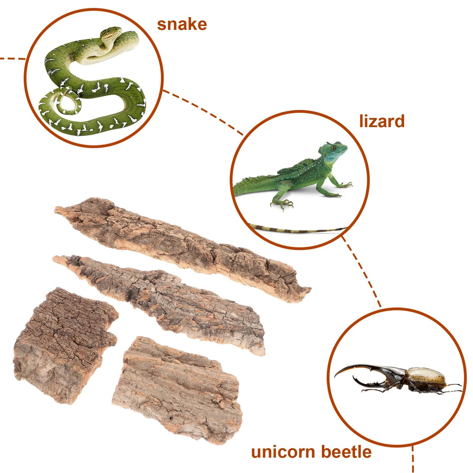 4 Pcs Climbing Platform Decoration Bearded Dragon Accessories Leopard Gecko Tank Small Hideout Lizards Fish Aquarium Bark