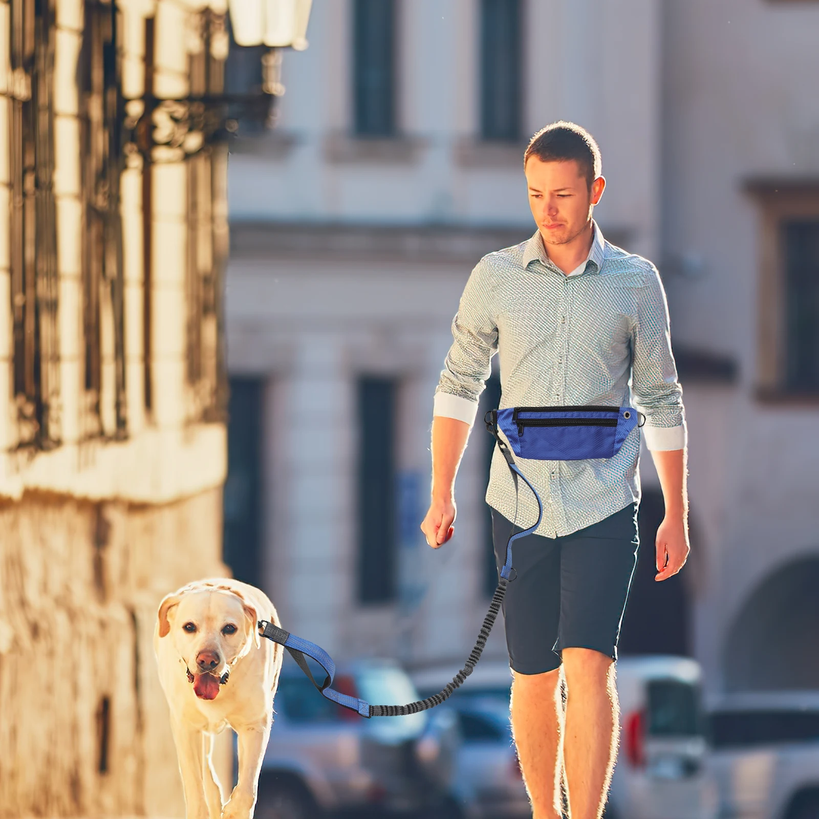 

Pet Leash 1 Set Blue Jogging Dog Outdoor Elastic Puppy Training Walking Supplies Reflective Handle Running Leash Hand Free Waist