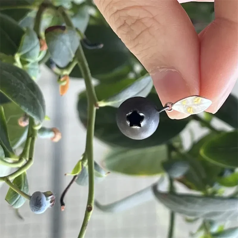 Fun Cute style Simulated Fruit Blueberry Earring, Ring UNISEX April Fool Day realistic eye-catching fashion jewelry earring ring