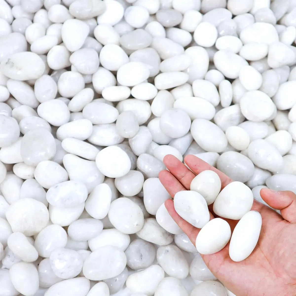 400g White Polished Natural River Pebbles 2-3cm - Decorative Stones for Planters, Aquariums & Garden Landscaping ZSY