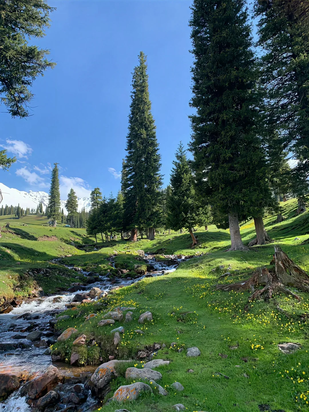 

Новейшая профессиональная физио-магнитотерапия — самое популярное облегчение боли и спортивная терапия травм для физиотерапии