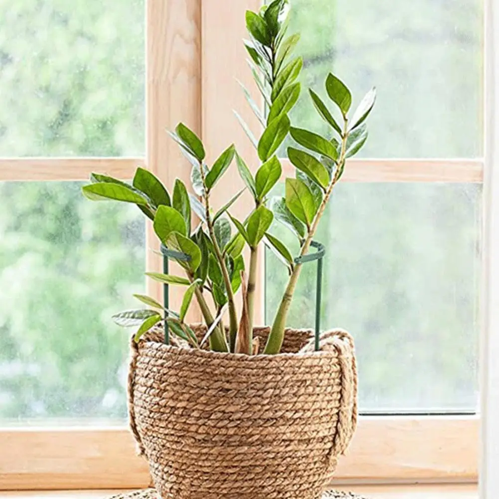 Easy Installation Plant Stake Stackable Half Round Plant Support Stakes Easy Assembly Trellis Plant Cages Indoor for Tomato
