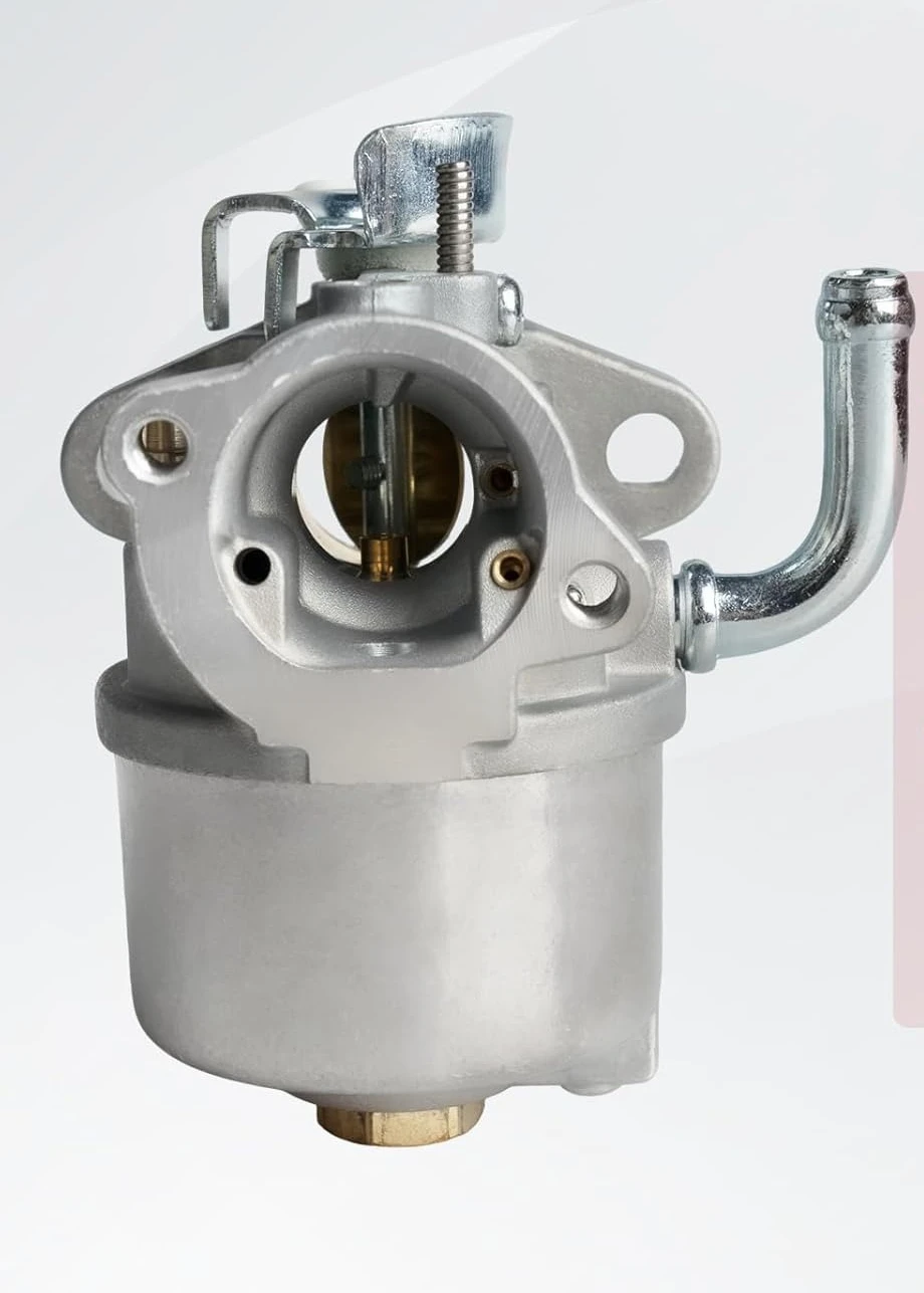 798917 Carburetor for Briggs & Stratton 795485 794587 12D000 Engines for 1150 Snow Series 250cc 11.50 Torque Snow-Blower Carb