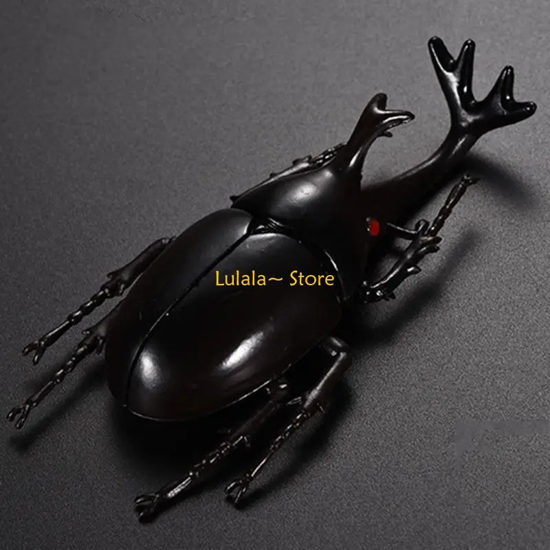 

Y4qa gag подарок для детей и взрослых 6 штук реалистичных жуков детская вечеринка для любителей