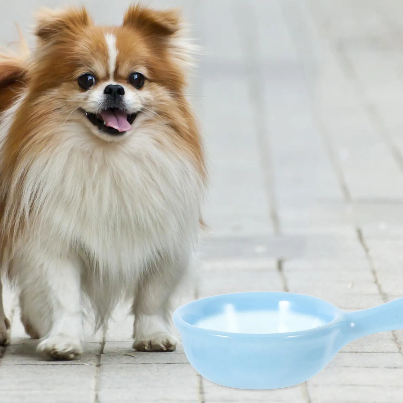 3Pcs Pet Feeding Bowl Ceramic Small Animals Food Dish Water Bowl Mixed Color Safe Environmentally Friendly Easy Clean