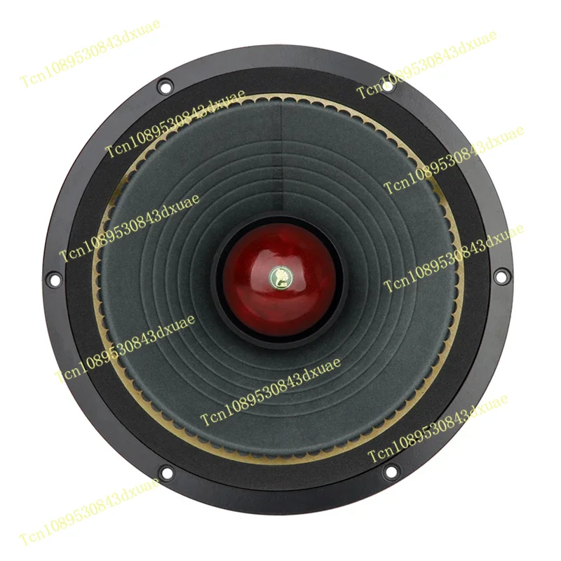 

AUDIO 10 Inch Co-balt Magnetic Full Frequency MUSIC-10 Full Range Speaker Power 20-50W Sensitivity 94.7dB (2.83V/1m)