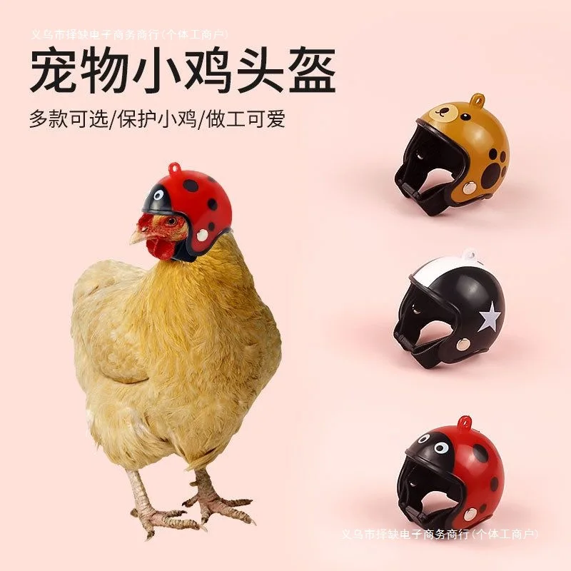 Helmet Chicken Pet Supplies Funny Hat Chicken Hat Chicken Helmet Multi-color Protection