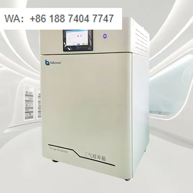 for Laboao High Performance Tri-gas CO2 O2 N2 Incubator 5.0 Inch Touch Screen 0.3 Temperature Fluctuation 50-200L Capacity