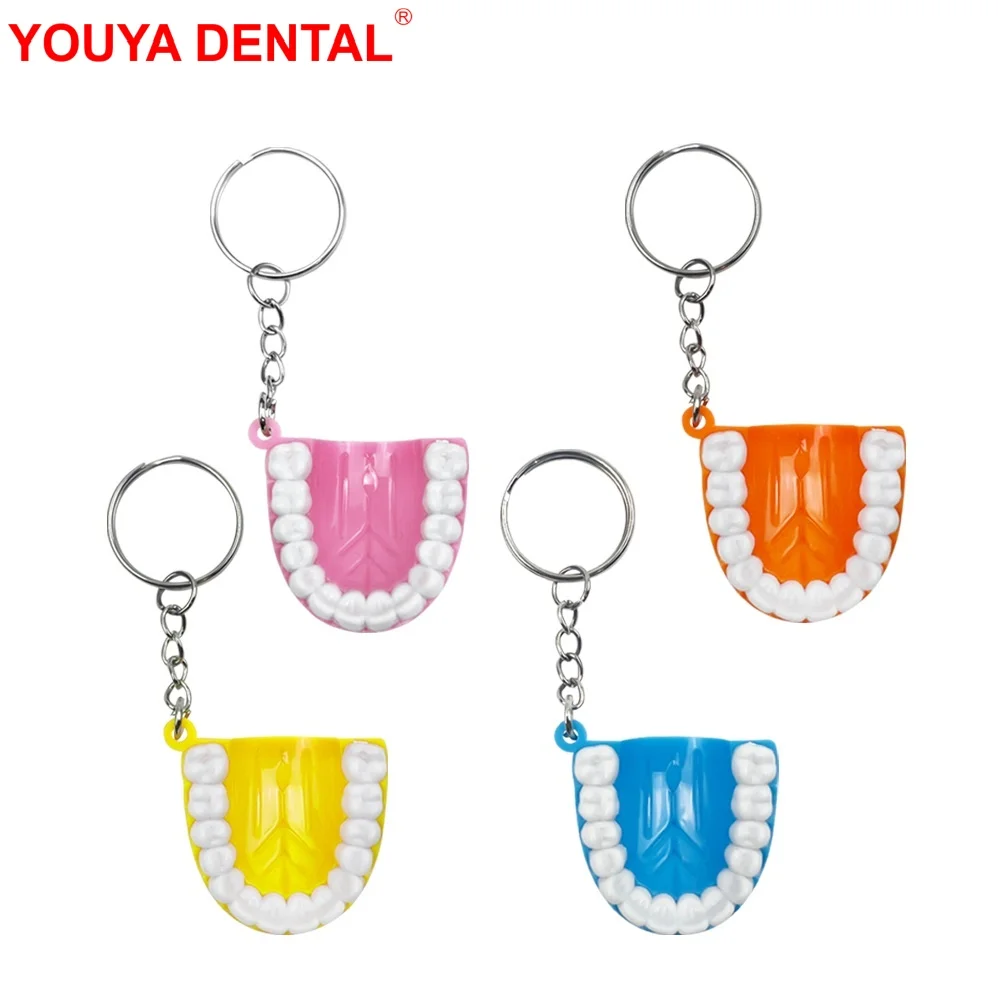 10pcs/lot Tooth Shaped Keychain Portable Dental Model Upper Jaw Pendant Maxillary Key Chain Dentistry Accessories Dentist Gift