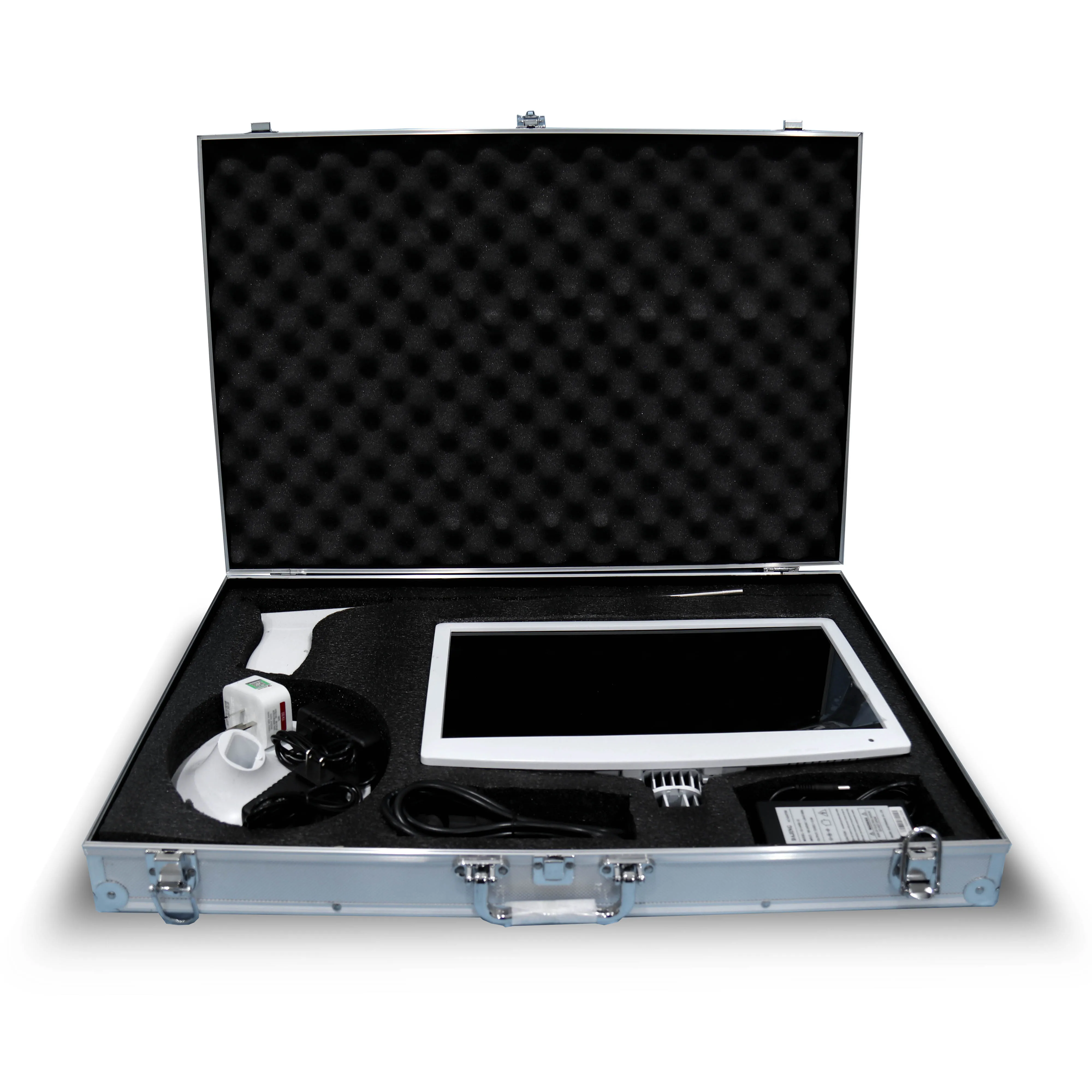 

Canine Visual System Visual Artificial Insemination Dog