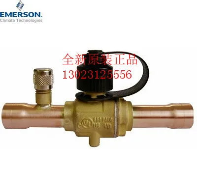 2025 Emerson/Emerso… - image