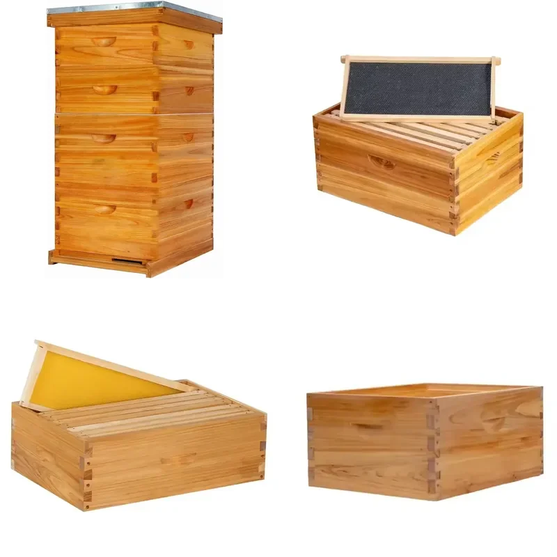 New 4 Layer Langstroth Beehive Complete Set with 10 Frame Beeswax Coated Wooden Hive Starter Kit for Beekeeping