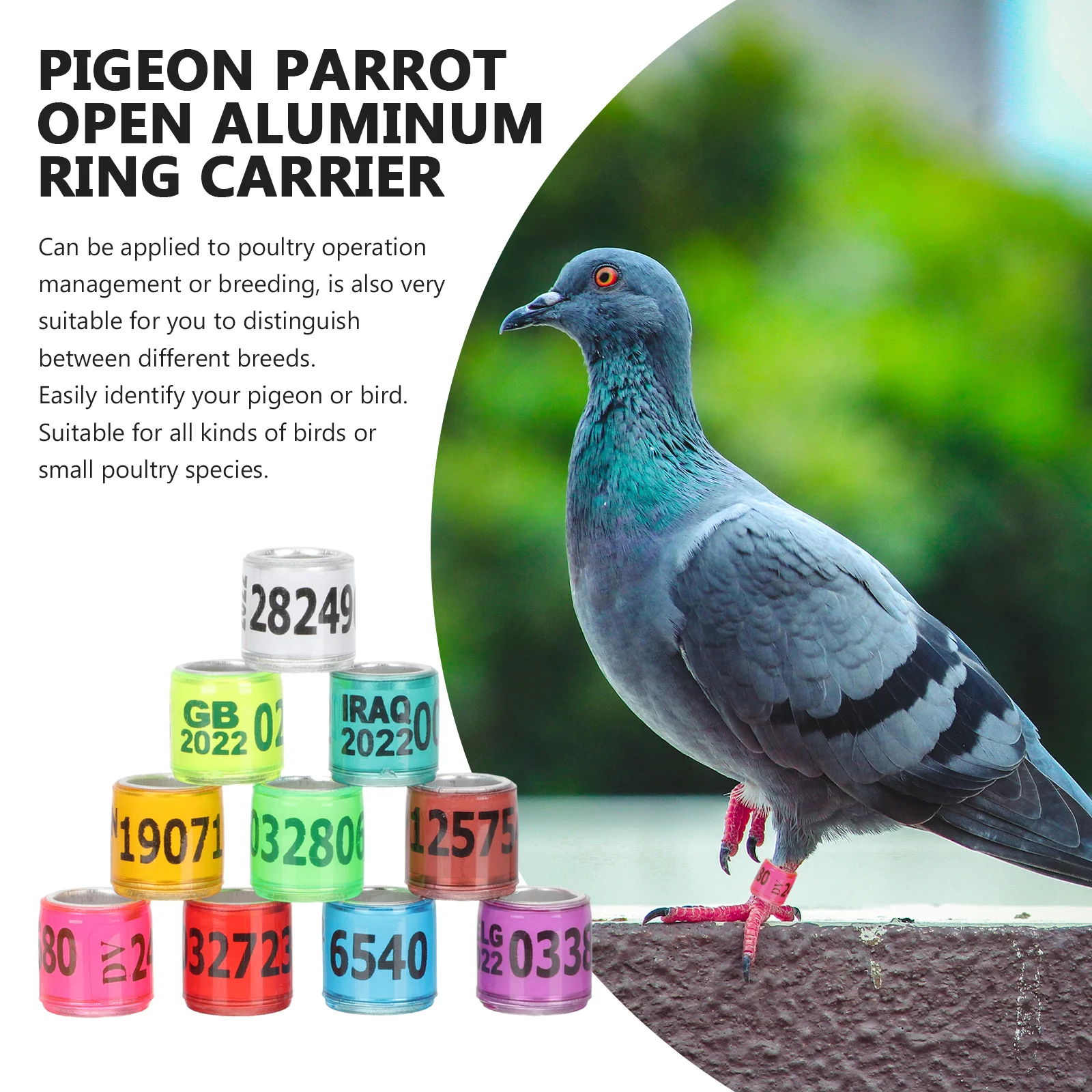 

Aluminum Bird Leg Pigeon Rings Identification Tools for Homing Racing Marker Pet Toys Bright Colors Professional Foot Rings