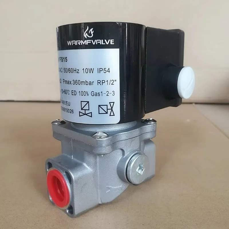 Natural Gas Solenoid DN15 Valve for Boiler Gas burner
