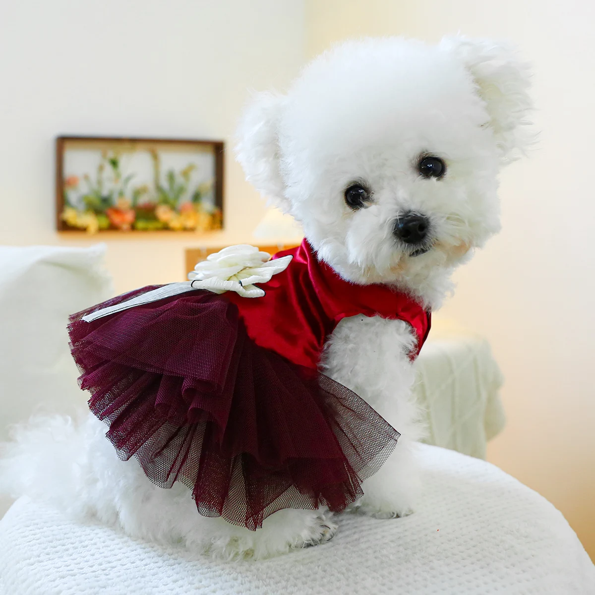 1PC Pet Clothing Cat Vest Red Bow Wedding Dress Princess Dress with Traction Buckle Suitable for Small and Medium Dogs