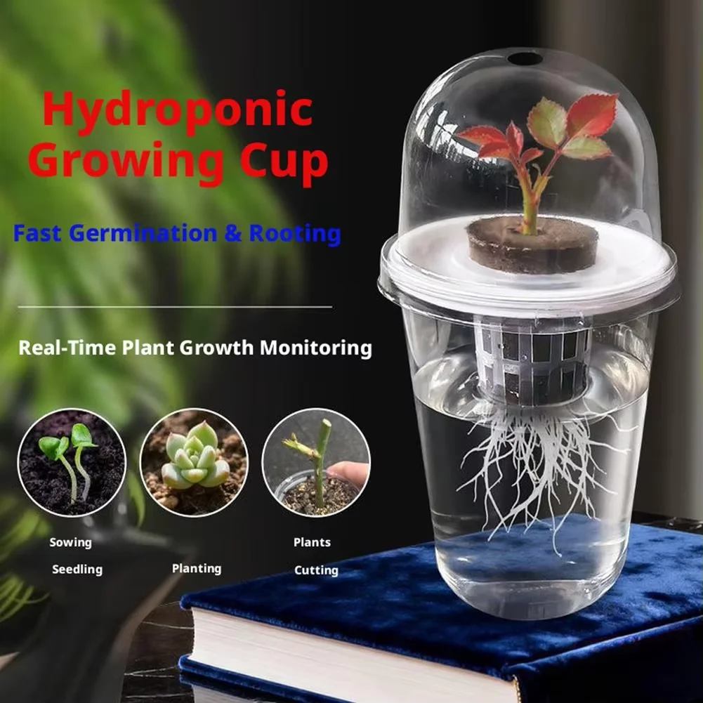 Plant Vegetable Seedling Hydroponics Planting Cup Transparent Plastic Flowerpot Visible Root System For Rooting Indoor Gardening