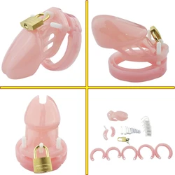 Small/Standard Male Chastity Cage Sex Toys Chastity Device Erotic Cock Cage with Anti-drop ring 5 Size Rings Brass Lock locking