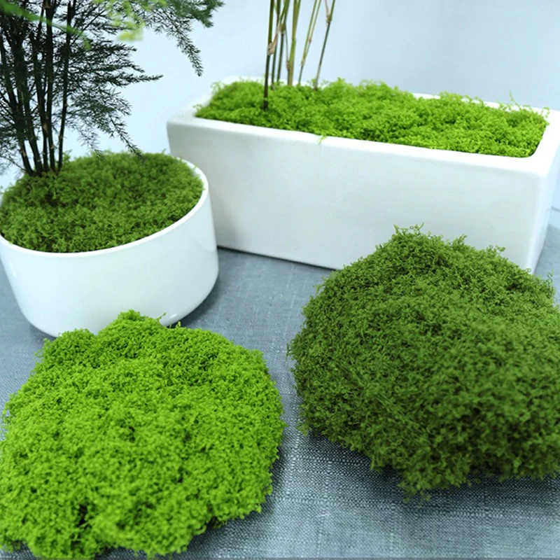 

500g/1000g Artificial Moss Green Plants Eternal Life Moss Landscape Garden Fake Grass DIY Grass Garden Room Potting Decoration