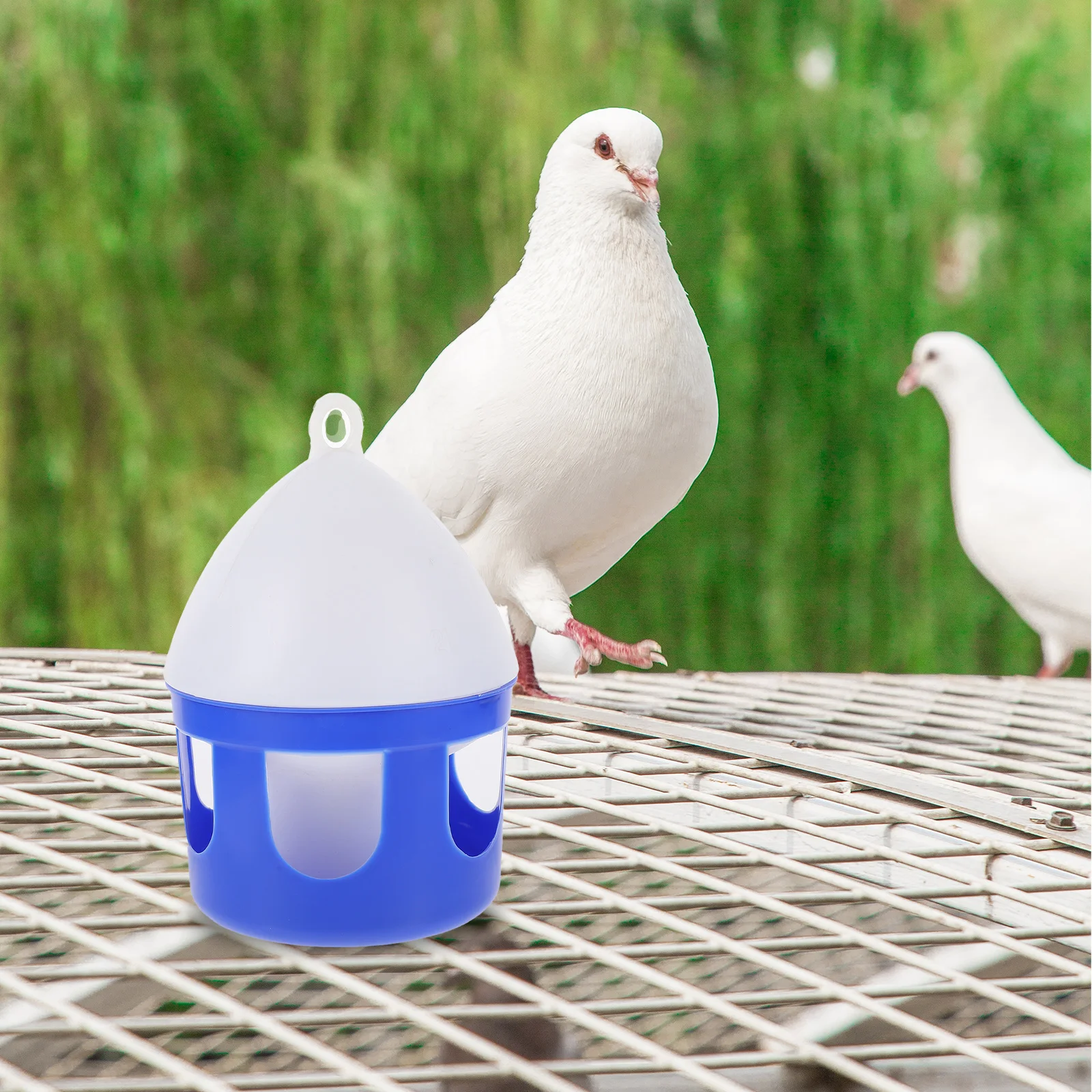 

Pigeon Water Feeder Large Capacity Round Smooth Removable Easy Clean Bird Feeder PVC Heavy Duty Waterer Bowl Travel Outdoor