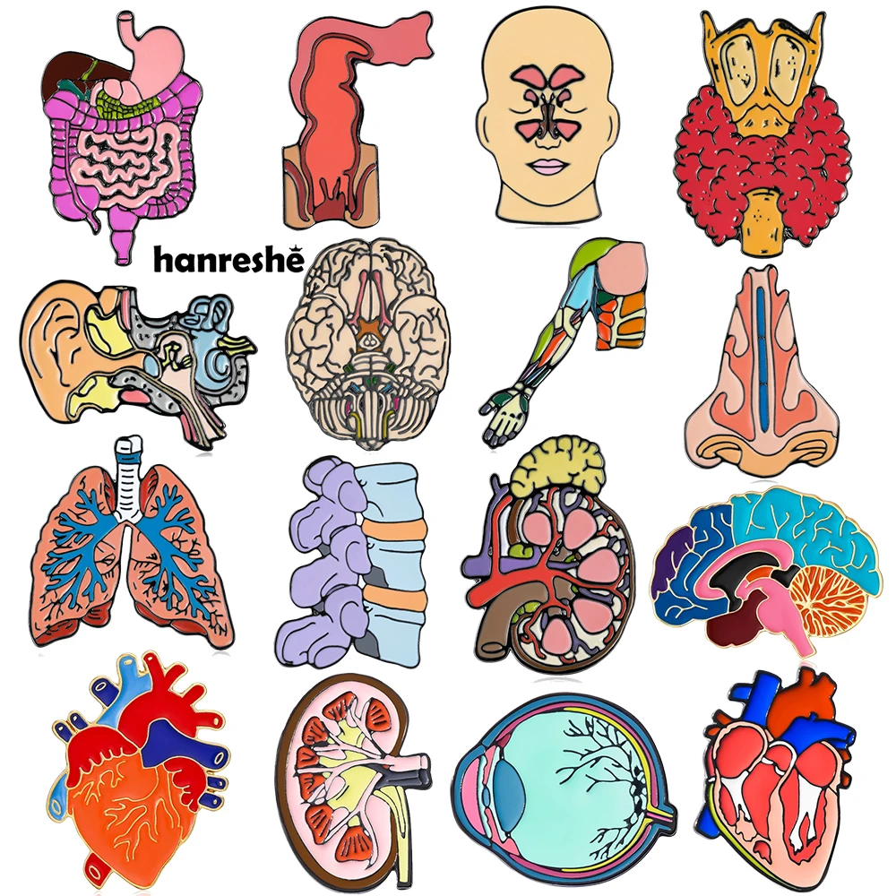 Hanreshe Medical Enamel Pin Set Anatomy Kidney Lung Brain Heart Brooches Wholesale Jewelry Doctor Nurse Lapel Badge