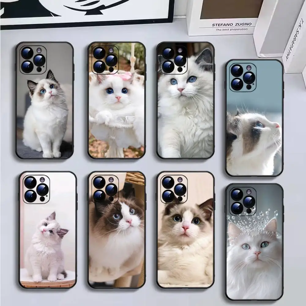 

Ragdoll-cat Phone Case For iPhone16,15,14,13,12,11 Plus,Pro Max,XS,X,XR,SE,Mini,8,7,Soft Silicone Black Cover