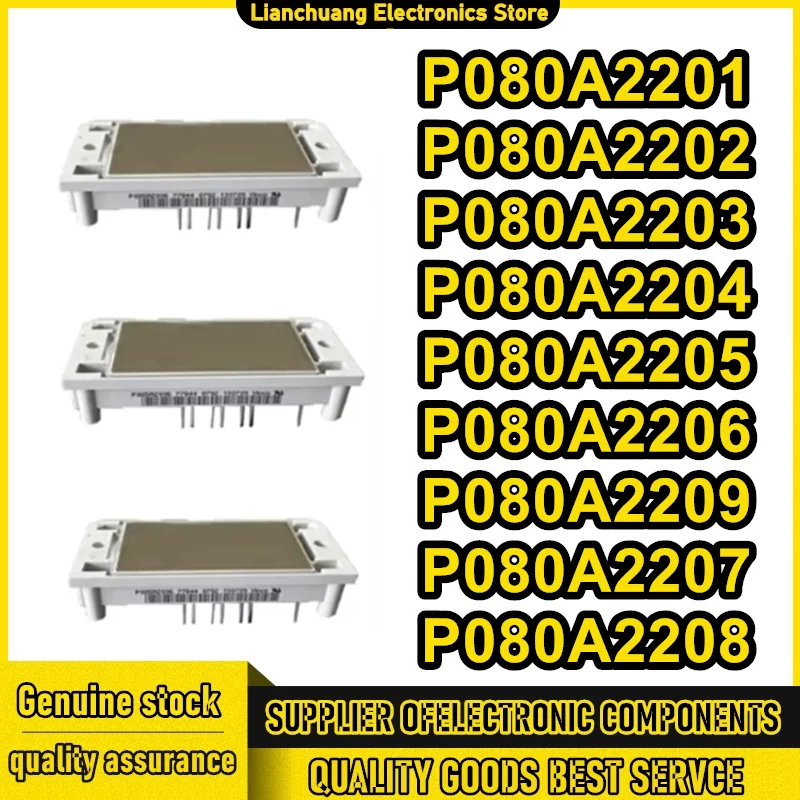 

P080A2201 P080A2202 P080A2203 P080A2204 P080A2205 P080A2206 P080A2207 P080A2208 P080A2209 NEW AND ORIGINAL MODULE