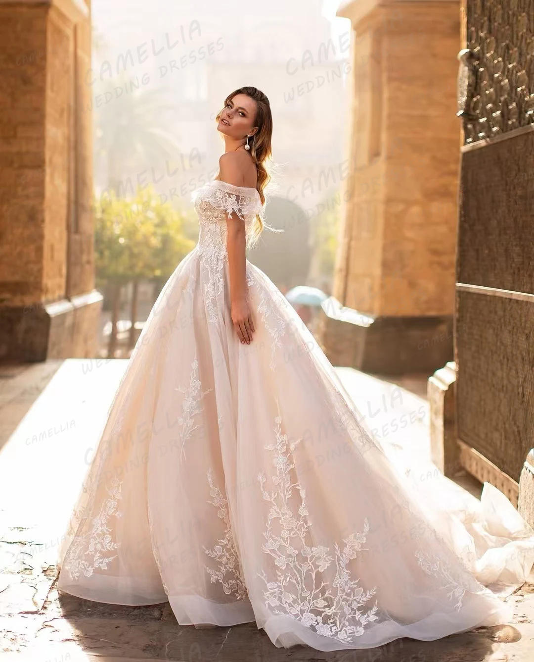 Robes de mariée élégantes pour femmes, appliques A-ligne, chérie sexy, tulle moelleux, patients de princesse, quel que soit