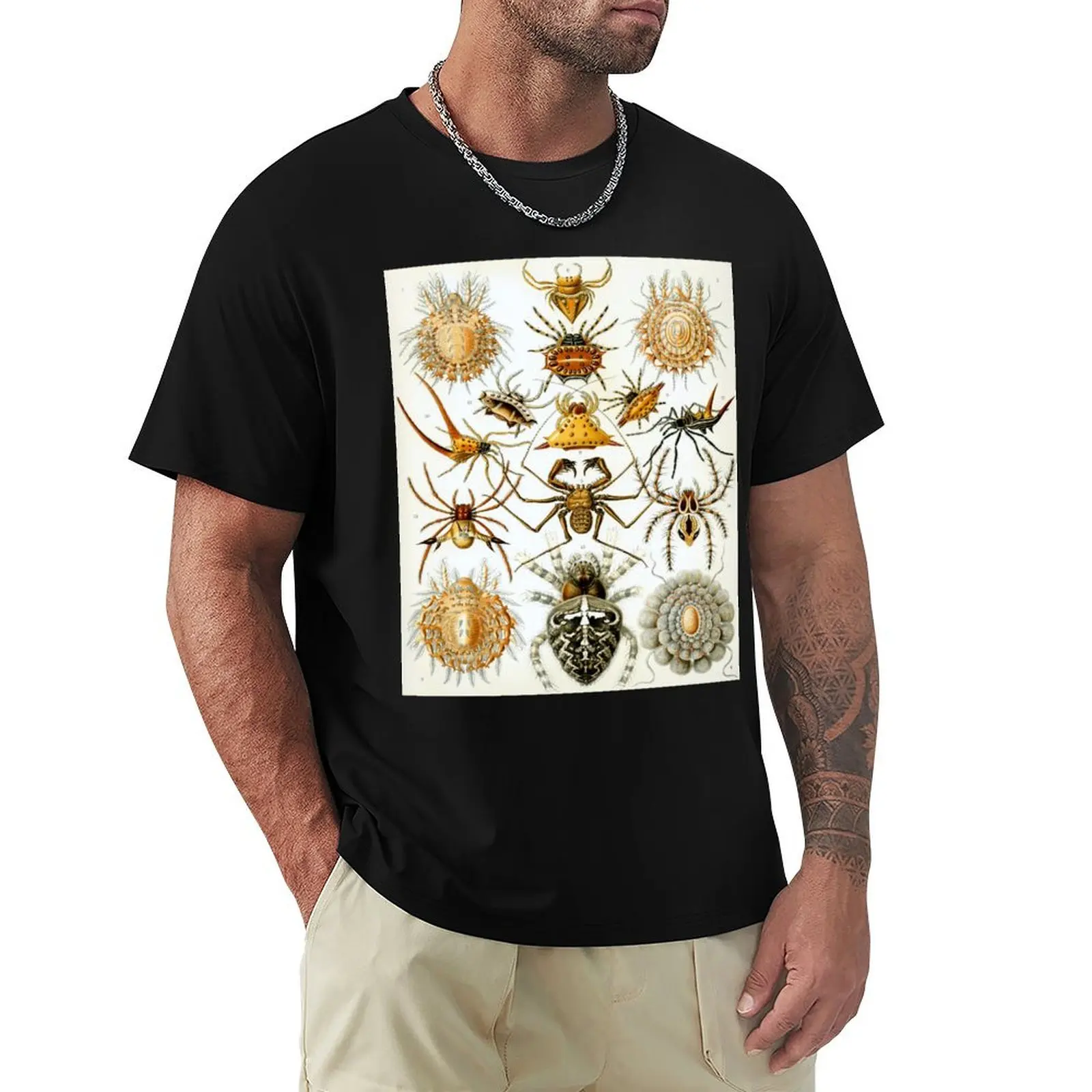 Haeckel Arachnida Drawing T-Shirt Trend Art Print T-Shirt