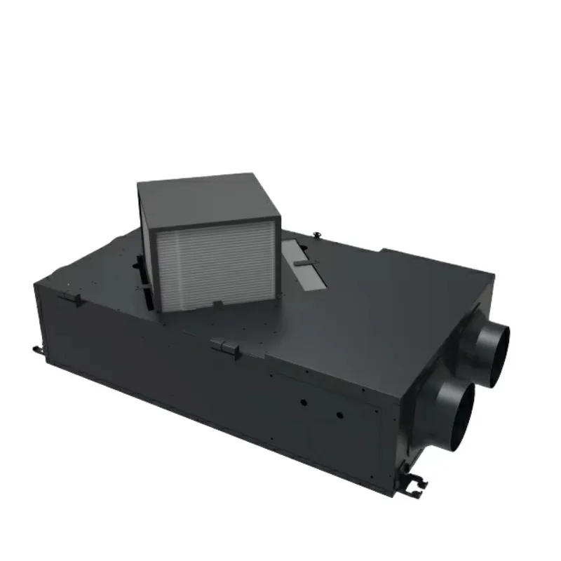 ERV Home Hotel Air Cleaning Heat Recovery Machine Fresh Air Ventilation System