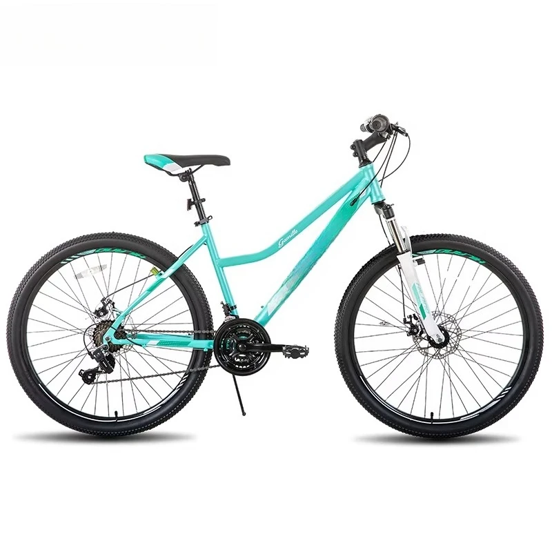 

21 Speeds Steel Hard Frame Disc Brake Mountain Bike Bicycle for Adult