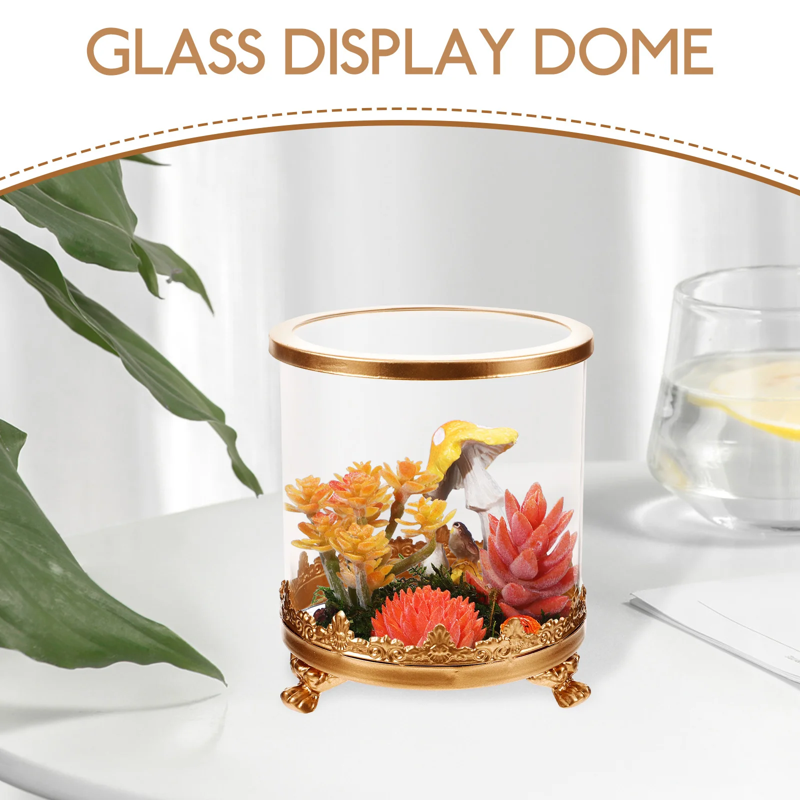 

Eternal Flower Glass Dome Metal Base Compact Size Living Room Table Decoration Clear Display Case Preserved Flower Covers Glass