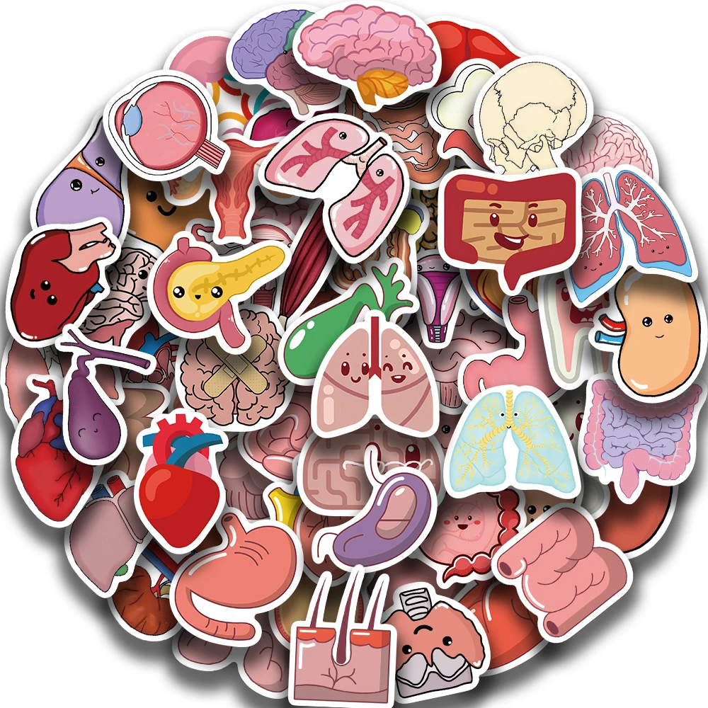 65PCS Cartoon Human Organ Stickers Cute Medical Decal For Laptop Bicycle Guitar Phone Toys DIY Graffiti Waterproof Sticker