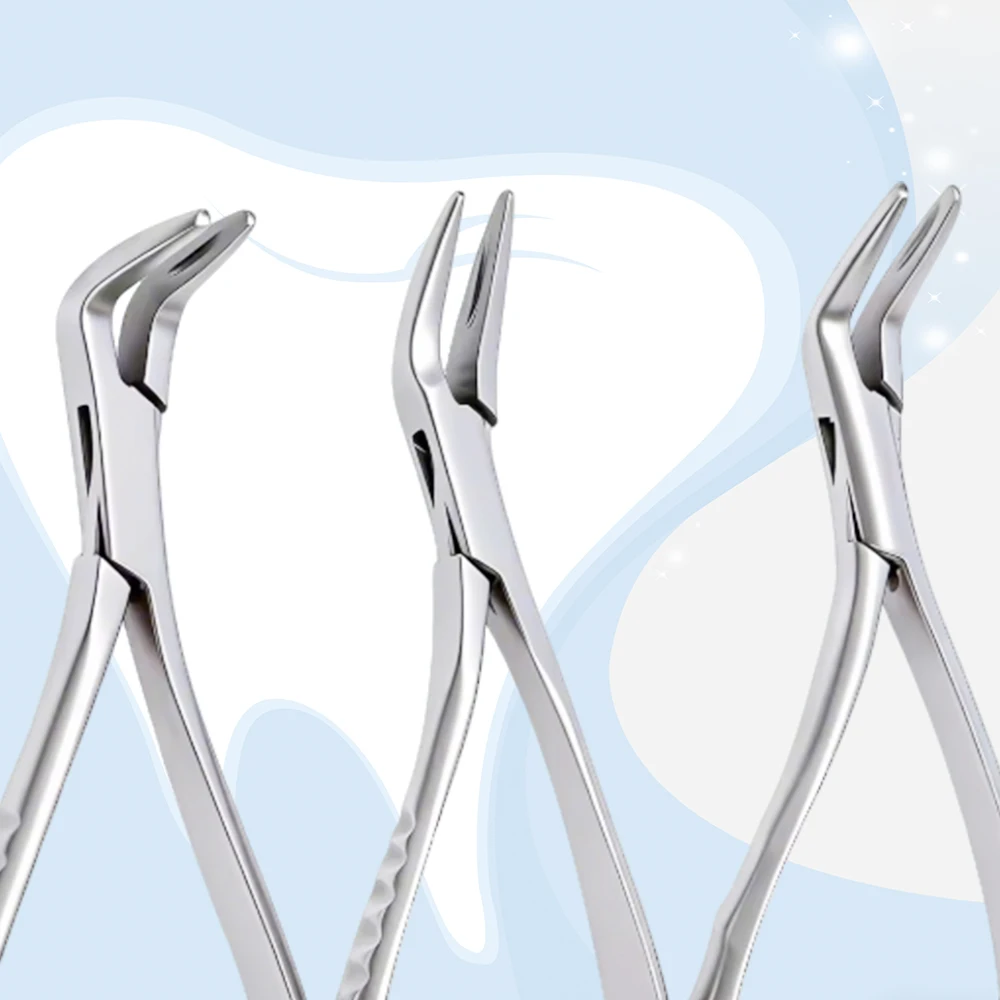 

Universal Curved Dental Root Extraction Forceps for Upper and Lower Teeth Surgical Dentistry Instrument Stainless Steel